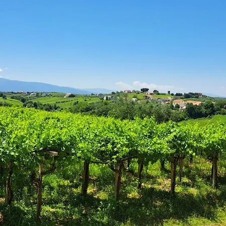 Le Tre Rose Bed & Breakfast